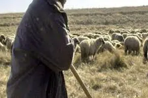 Cioban rănit grav de o grenadă în timp ce-și plimba oile într-un poligon militar