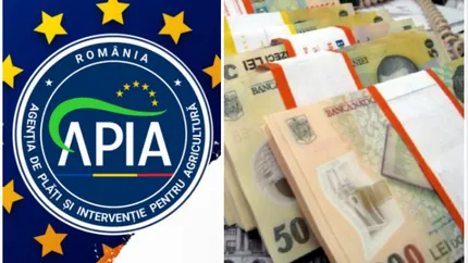 Românii primesc bani de la APIA. Banii intră în conturi în decembrie 2025