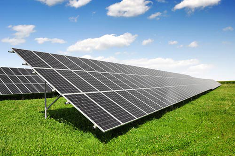 Cel mai mare parc fotovoltaic la Bistrița!